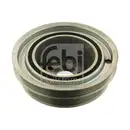 FEBI BILSTEIN 30176 Riemenscheibe für IVECO, FIAT