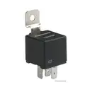 HERTH+BUSS ELPARTS 75613197 Relais, Arbeitsstrom 30A 40A