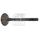 FEBI BILSTEIN 34531 Auslassventil für VW, SEAT, SKODA, AUDI