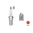 Zündkerze Ngk 3623 für Alfa Romeo für Fiat für Ford für Lancia für Renault