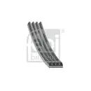 Keilrippenriemen Febi Bilstein 104566 für Man