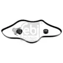 FEBI BILSTEIN 183555 Keilrippenriemensatz für NISSAN, RENAULT, OPEL, FIAT