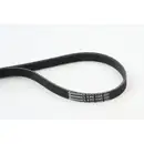 CONTINENTAL CTAM 5PK1145 Keilrippenriemen
