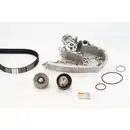 CONTINENTAL CTAM CT1148WP1 Zahnriemen Kit + Wasserpumpe