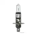 Glühlampe Herth+buss Elparts 89901092 für Daf für Fiat für Iveco für Mitsubishi