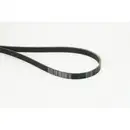 CONTINENTAL CTAM 6PK1390 EXTRA Multi V-Belt