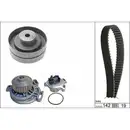 INA 530 0156 30 Wapu + ST Kit