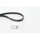 CONTINENTAL CTAM 4PK1237 Keilrippenriemen