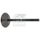 FEBI BILSTEIN 32332 Einlassventil für SKODA, SEAT, VW, AUDI