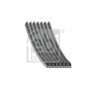 FEBI BILSTEIN 34337 Keilrippenriemen