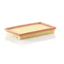 MANN-FILTER C 29 020 Luftfilter