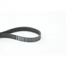 CONTINENTAL CTAM 6PK1179 EXTRA Keilrippenriemen