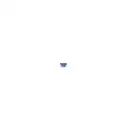 BOSCH 1 987 529 047 Sicherung