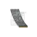 FEBI BILSTEIN 182094 Keilrippenriemen