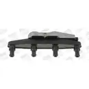 Zündspule Borgwarner (beru) ZSE039 für Skoda für Vag