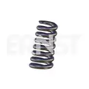 ERNST 492553 Feder