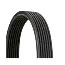 CONTINENTAL CTAM 7DPK1884 Keilrippenriemen