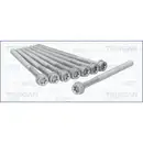 Zylinderkopfschraubensatz Triscan 98-7519 für Smart