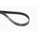 CONTINENTAL CTAM 6PK1173 Keilrippenriemen