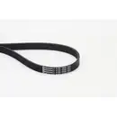 Keilrippenriemen Continental Ctam 6PK1050 für Audi für Citroën für Iveco für VW