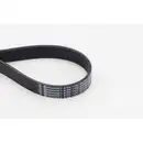 Keilrippenriemen Continental Ctam 8PK1162 EXTRA für Bmw