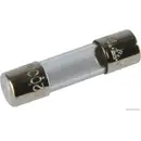 HERTH+BUSS ELPARTS 50295041 Sicherung 0.2A