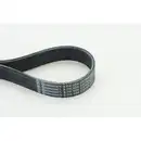 Keilrippenriemen Continental Ctam 8PK954 EXTRA für Bmw für Mini