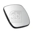 FEBI BILSTEIN 49899 Spiegelglas für DAF