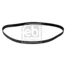 FEBI BILSTEIN 10979 Zahnriemen für FIAT, RENAULT, IVECO