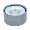 FEBI BILSTEIN 30647 Umlenkrolle für RENAULT, VOLVO