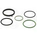 Dichtungssatz Wasserpumpe Elring 078.580