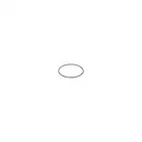 BOSCH F 00N 202 726 Dichtring