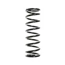 2x Spidan Fahrwerksfeder 55329 Hinterachse Ford Focus
