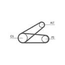 CONTINENTAL CTAM 6PK873 ELAST T1 Keilrippenriemen Elast + Tool