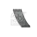 FEBI BILSTEIN 176582 Keilrippenriemen