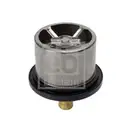 FEBI BILSTEIN 176580 Thermostat für DAF