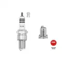 NGK 3981 Zündkerze BR9EIX für FIAT, PORSCHE, AUTOBIANCHI, ALFA, JAGUAR, LANCIA