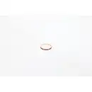 BOSCH 1 420 211 005 Dichtring, Einspritzventil