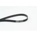 CONTINENTAL CTAM 7PK2061 Keilrippenriemen