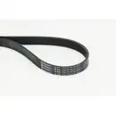 CONTINENTAL CTAM 6PK730 ELAST Keilrippenriemen für SKODA, VW, AUDI, SEAT