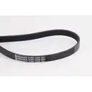 CONTINENTAL CTAM 5PK1300 Keilrippenriemen