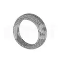 ERNST 492195 Dichtring
