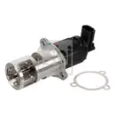 FEBI BILSTEIN 173238 Abgasregelventil für RENAULT, OPEL