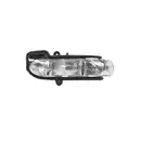 VAN WEZEL Blinker seitlich re./li. 3032914