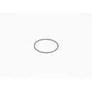 BOSCH F 01M 100 371 Dichtring
