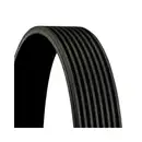 CONTINENTAL CTAM 8PK1786 Keilrippenriemen