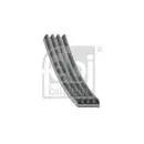 FEBI BILSTEIN 28798 Keilrippenriemen