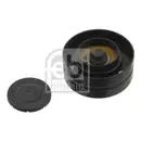 FEBI BILSTEIN 30893 Umlenkrolle