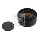 FEBI BILSTEIN 30893 Umlenkrolle für AUDI, VW