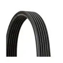 CONTINENTAL CTAM 6DPK1825 Keilrippenriemen
